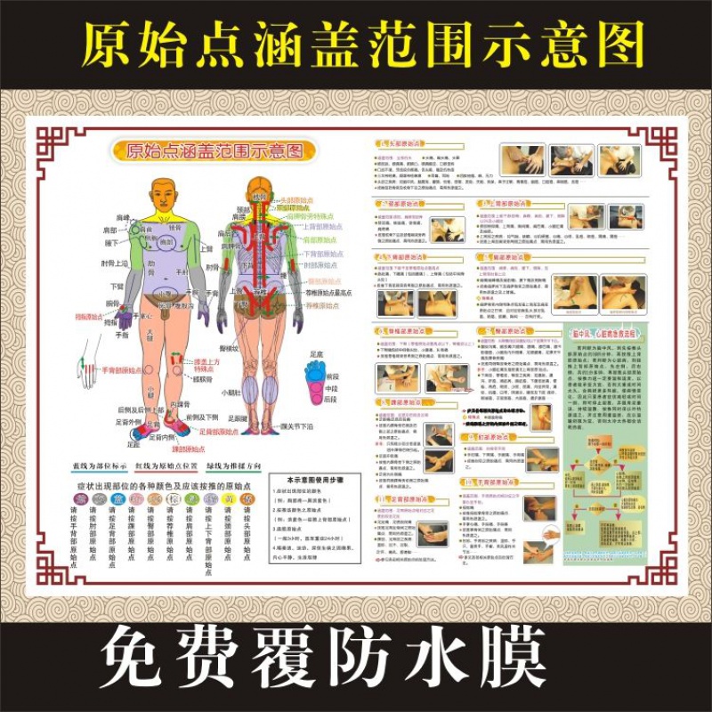 Pushback Massage Original Point Covers Range Schematic Traditional Chinese Medicine Poster Human Meridians Acupoints Map Big Wall Chart