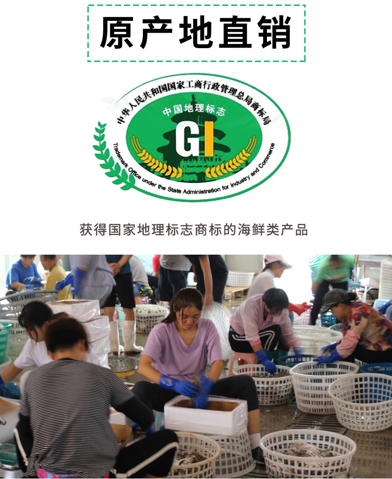 舟山特产梭子蟹 5斤 液氮活冻 单只5两左右 约8只 图3
