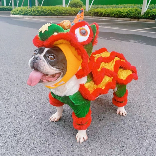 Львиная танцевальная одежда для собак Кот Лев Притворяется одежда для собак кошка смешные, смешные боевые домашние животные Corgi Wake Up Lion Festival Festival