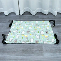 Летняя голубая сосна медведь