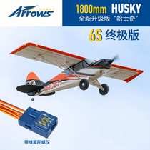 Blue Arrow 1 8m Husky Redux large size assembly image real entry remote control model fixed-wing electric aircraft