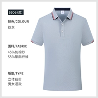 6606 Железный пепел