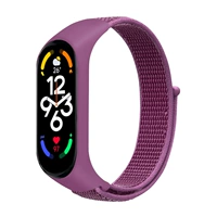 Нейлоновая модель -Фруктовый цвет дракона