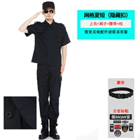 Сетка Лето короткая/скрыть темный дэнтитрат (вверху+брюки+отмечен+ремень)