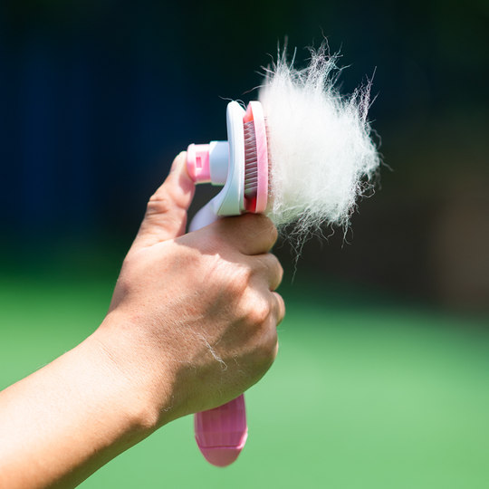Dog hair comb, pet comb, hair removal needle comb, Teddy Bichon Golden Retriever Husky, large dog knotting comb