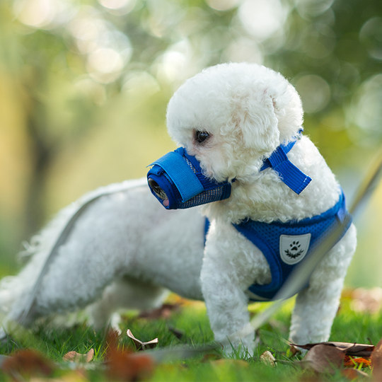 小型幼犬狗嘴套2斤到4斤适用防乱叫乱咬乱吃比熊泰迪幼犬吉娃娃用
