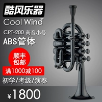 COOLWIND gió mát CPT200ABS nhạc cụ bằng đồng thả B giai điệu kèn treble bắt đầu hiệu suất chấm điểm - Nhạc cụ phương Tây đàn guitar acoustic