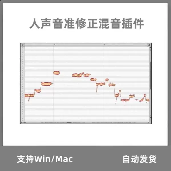 Товары от 风澈音频服务