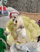 Сельские и сказки