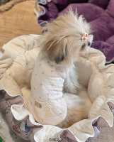 Гер фанат Путу