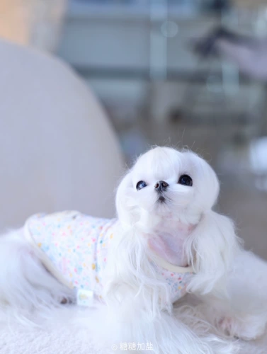 Оригинальный детский хлопковый стеганый легкий и тонкий дышащий жилет