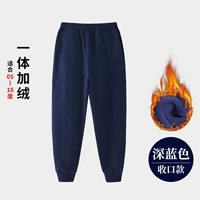 [Закрытие денег] Темно-синий бархат