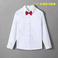 Чистый белый [отправляя красный воротник]