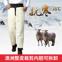 Winter wool-lined fur-in-one cotton pants for men sheepskin middle-aged and elderly thickened genuine leather warm and cold-proof casual pants