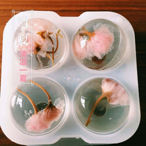 With a lid white jelly making mold Homemade jelly with spherical ice cubes round abrasives The whole large one