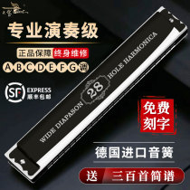 German imported gongs advanced 28-hole accented harmonica professional performance mens 24-hole polyphonic female instrument