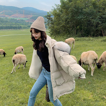 Down cotton clothes womens short 2020 new winter Korean loose quilted jacket ins Hong Kong style harajuku cotton jacket jacket