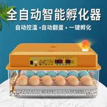 Luding Chicken Incubators Fully Automatic Small Home Type Multifunction Smart Small Chicken Hatching Machine Hatchery Mini