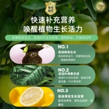 Лимон -сделка медленные удобрения. Обязательные комбо -удобрения.