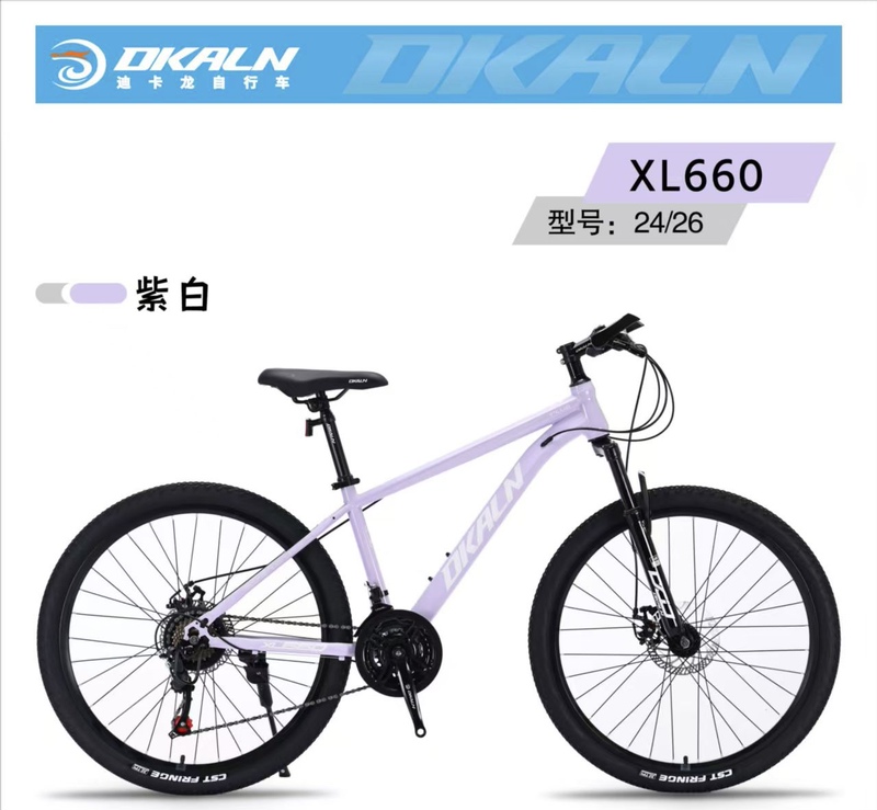 Dikalong Xl660 Mountain Bike for Teenagers, Suitable for School, Commuting, Unisex, Variable Speed, Mechanical Disc Brake Racing Bike