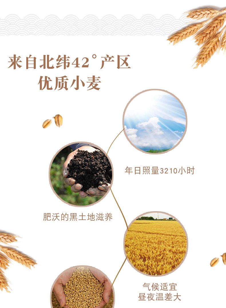 马云山手工龙须面250g*3袋