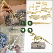 Childrens dinosaur fossil archaeological excavation toy handmade skeleton model Tyrannosaurus rex bone assembly Jurassic