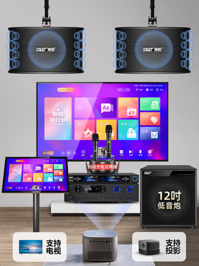 先科家庭ktv音响套装卡拉OK点歌机功放全套家用连电视K歌组合音箱