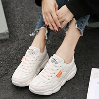 Модернизированная модель+рис белый [сетка с двойным слоем]