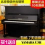 [Boutique] Nhật Bản nhập khẩu lựa chọn Đàn piano cũ Yamaha Piano YAMAHA U3H casio px 870