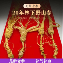 长白山人参20年野山参30年林下参干25年野生残老山参补气整支礼盒