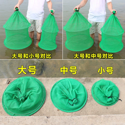 Рыба защищает быструю рыбную коробку против толстой рыбацкой рыбной сети рыбацкой сети.