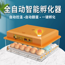 Xinweida incubator small household type automatic intelligent incubation chassis Chicken duck goose pigeon quail egg hatcher