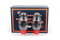 Dawning high-end re-engraved Xidian WE300B PLUS tube to replace Xidian Dawning noble jjEH Golden Lion