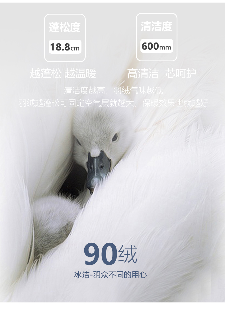 波司登旗下 冰洁 儿童 时尚轻轻薄羽绒服 图5