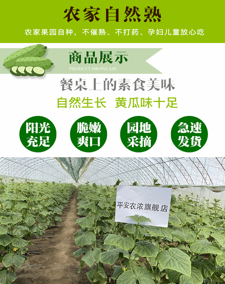 东北农家蔬菜新鲜应季水果黄瓜5斤