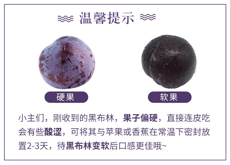 陕果益农 陕西黑布林李子 5斤 图5