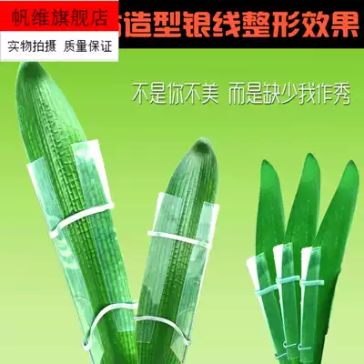 Clivia leaf aligner setting and fixing tool Blade righting line correction splint Running deviation shading tinfoil