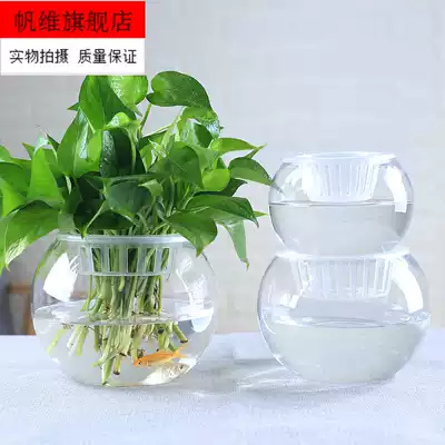 Hydroponic plant glass bottle Large glass flower pot Office Desktop hydroponic golden kudzu vase Round transparent fish tank