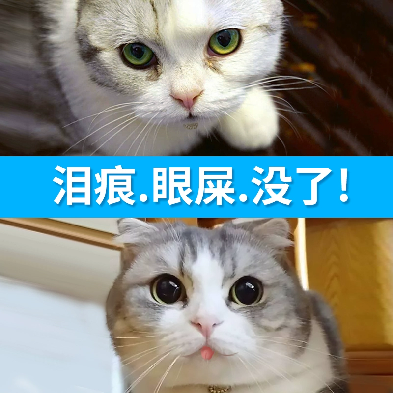 Yihan chó mèo nhỏ mắt thuốc nhỏ mắt làm sạch phân mắt bichon để làm sạch vết rách tạo tác rửa mắt chống viêm - Thuốc nhỏ mắt