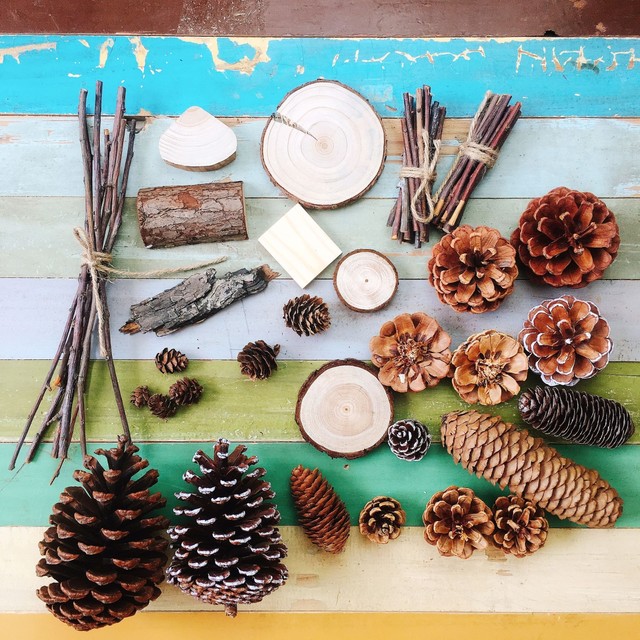 Pine cone photography props natural decorative ornaments pendants pine cone wood slices ດອກໄມ້ແຫ້ງຊຸດປະສົມປະສານຕົກແຕ່ງເຄື່ອງປະດັບຂະຫນາດນ້ອຍ