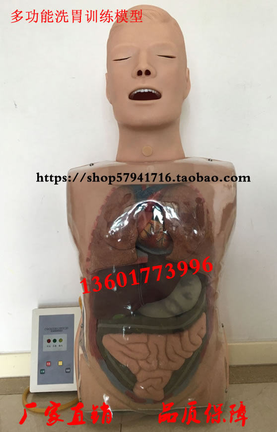 多功能透明洗胃训练模型透明洗胃护理模型上半身透明洗胃模型