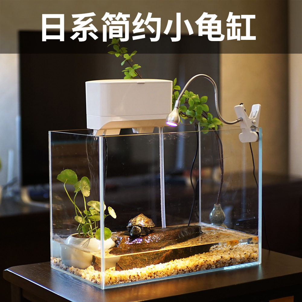Arctic ice small turtle tank water and land tank fish tank living room ultra-white glass landscaping ecological mini desktop small turtle tank