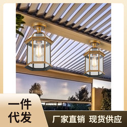 P616 special ceiling light for glass sunroom, outdoor canopy ceiling light, simple outdoor carport courtyard lighting LED