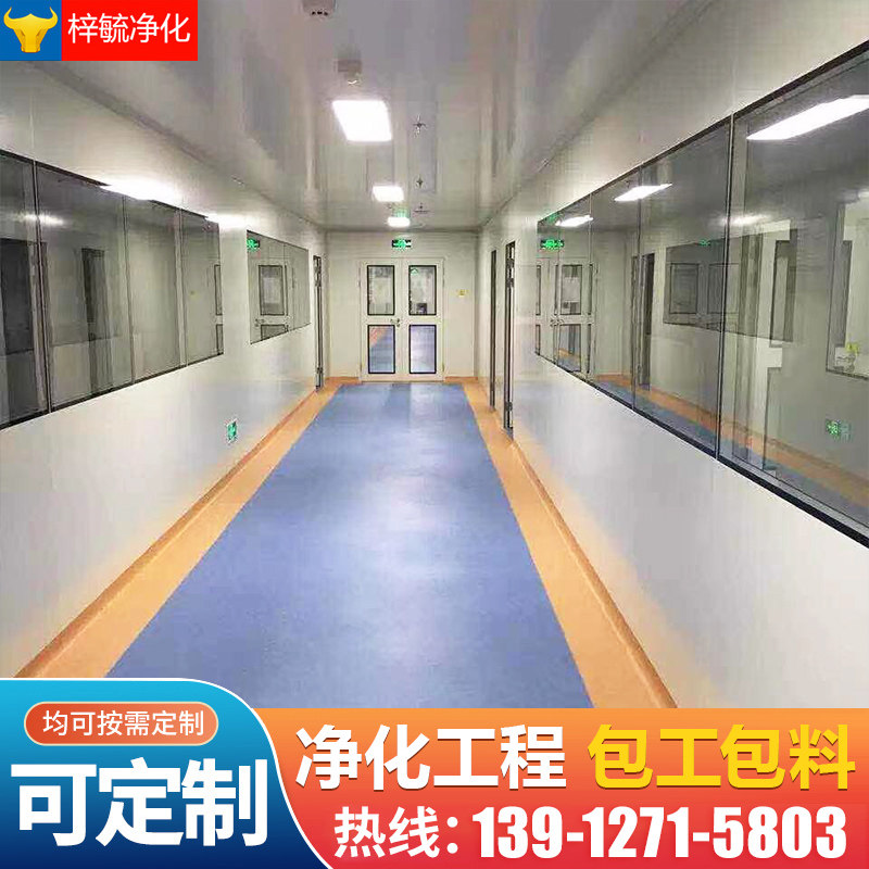 Food factory clean workshop decoration laboratory workshop design clean room million-level purification engineering sterile room