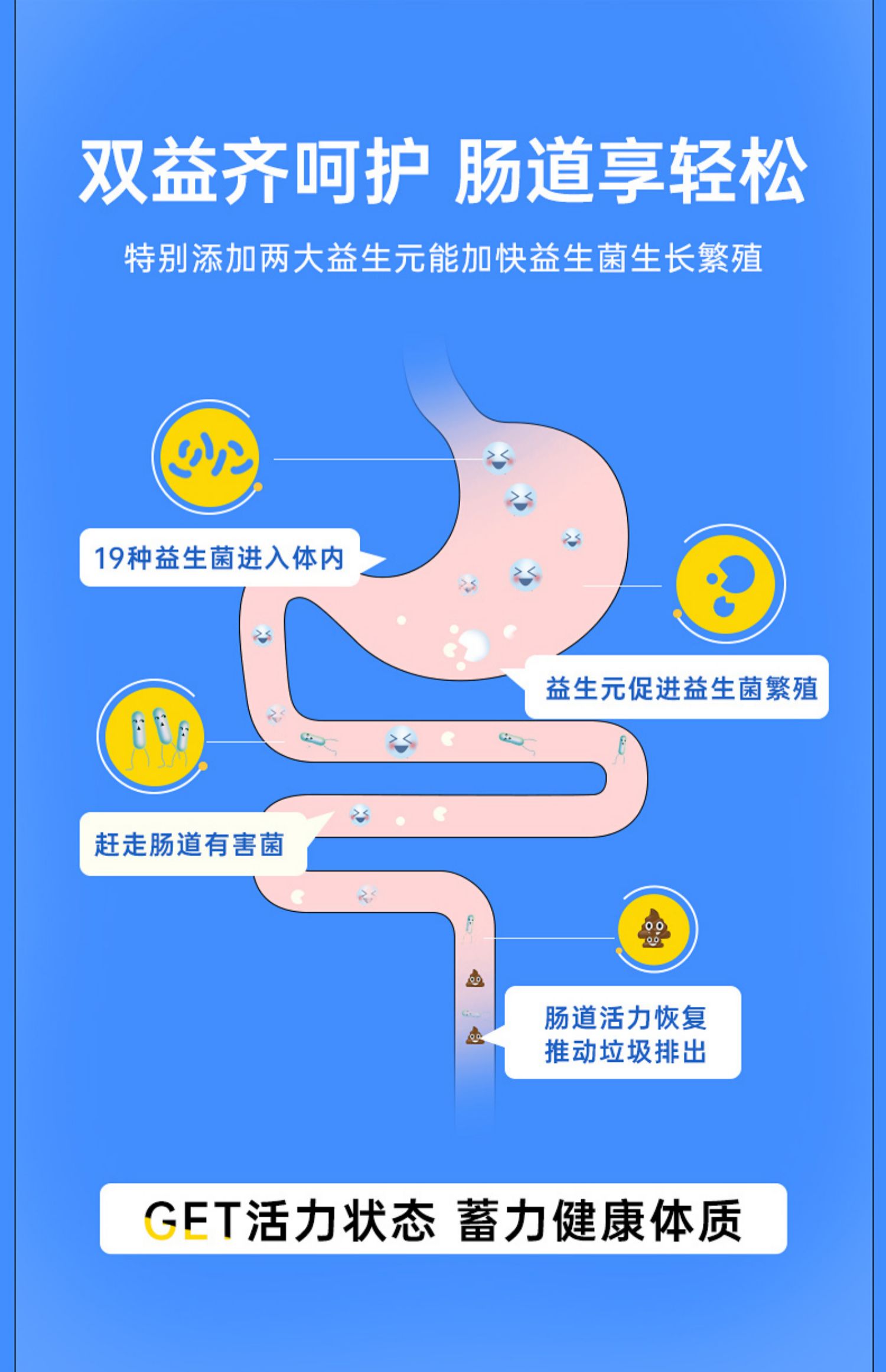 OsteoForm乐力益生菌调理肠胃肠道小熊软糖