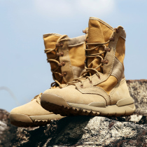 Outdoor hiking shoes mens autumn outdoor waterproof non-slip lightweight off-road hiking shoes high-top mountain climbing shoes desert boots women