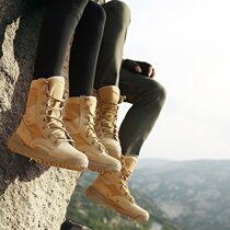 High-top climbing shoes hiking shoes womens desert autumn breathable waterproof non-slip lightweight outdoor shoes mens hiking shoes womens shoes