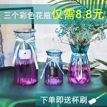Glass vase Dry flower arrangement bottle Fu Guizhu transparent vial Nordic creative simple bottle ornaments living room water flower bottle