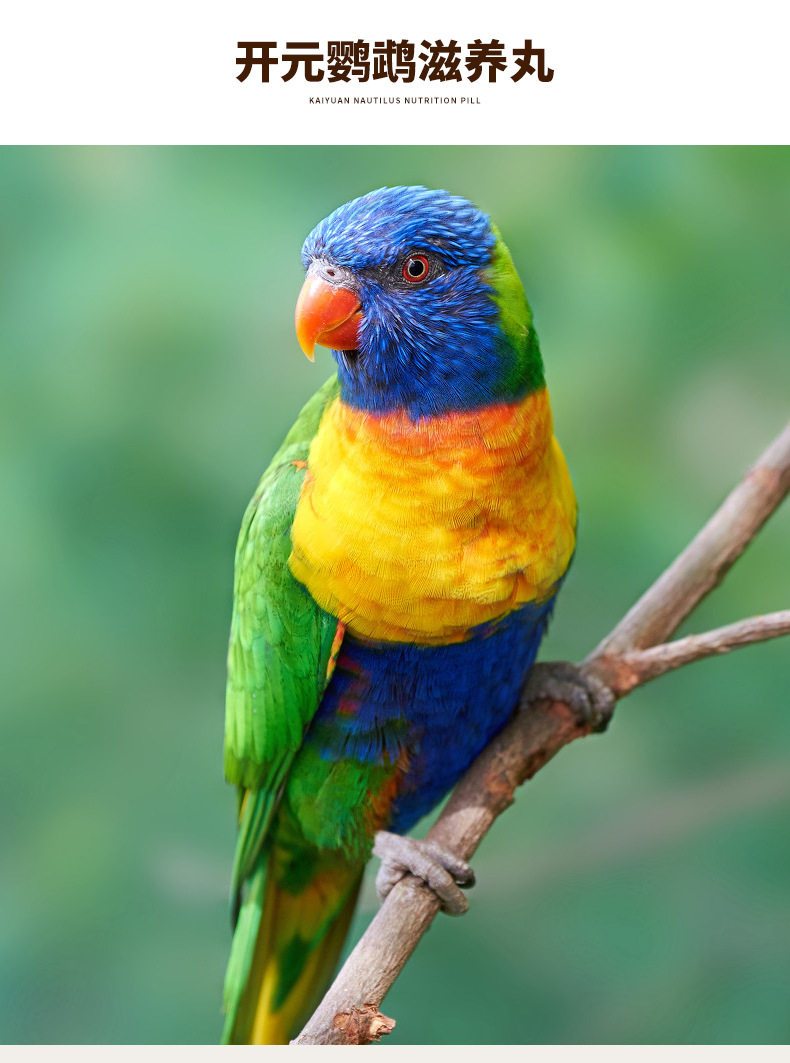 Подробности таблеток Parrot Page_03.jpg