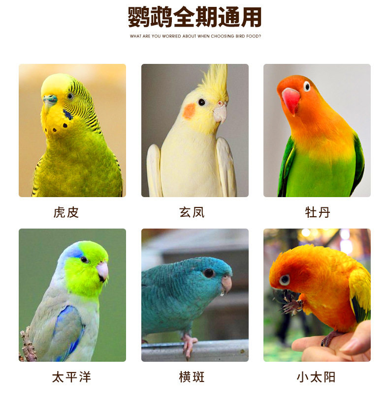 Подробности таблеток Parrot Page_05.jpg